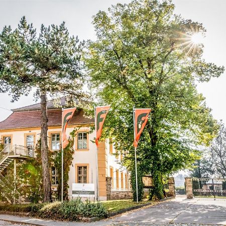 Stadtschloss Hecklingen*** Hecklingen  Ngoại thất bức ảnh
