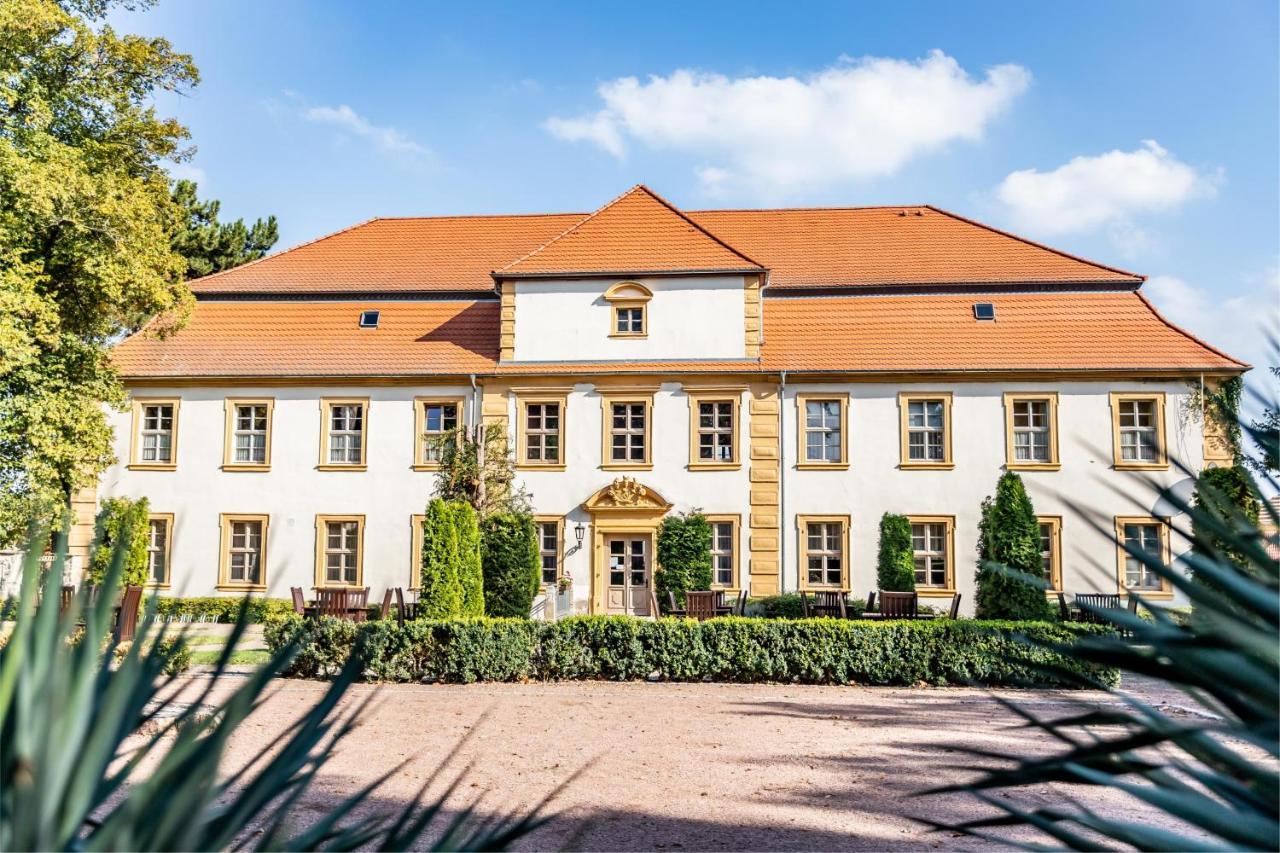 Stadtschloss Hecklingen*** Hecklingen  Ngoại thất bức ảnh