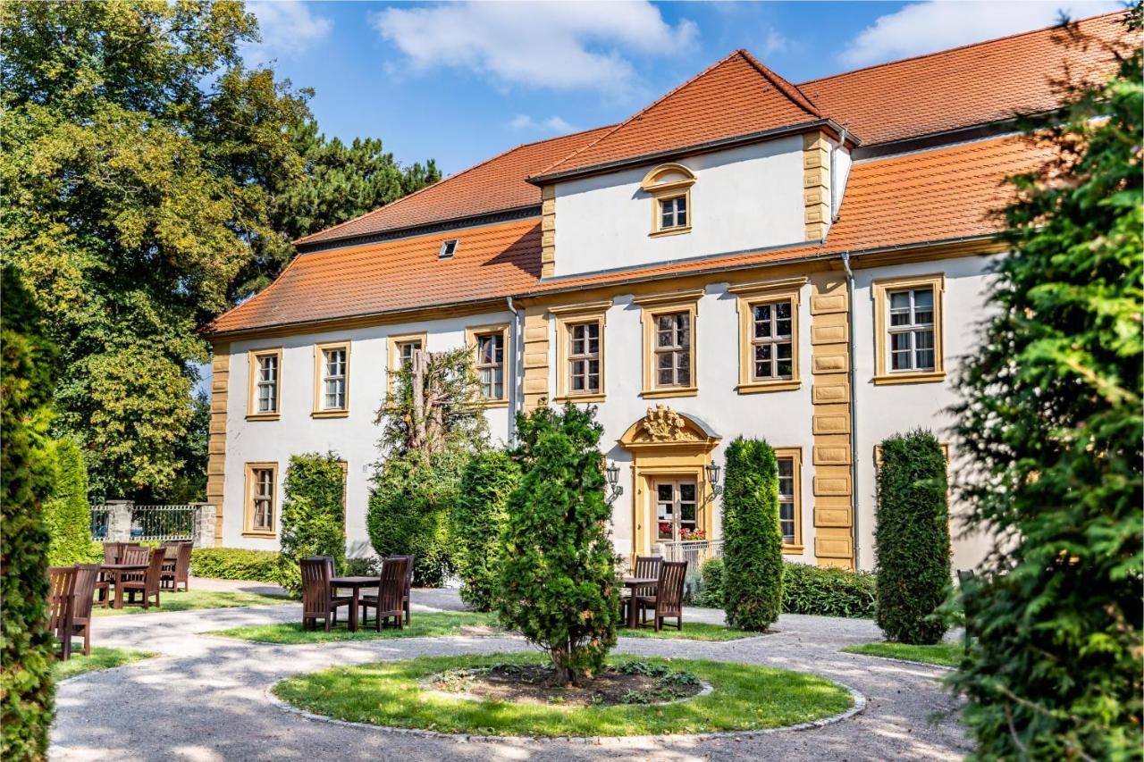 Stadtschloss Hecklingen*** Hecklingen  Ngoại thất bức ảnh